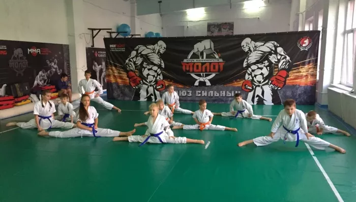 Спортивный клуб "Safronov team"