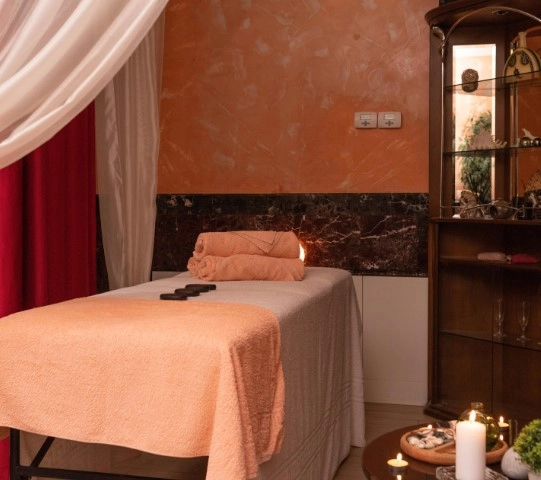 Бани/Сауны "SPA Fidan"