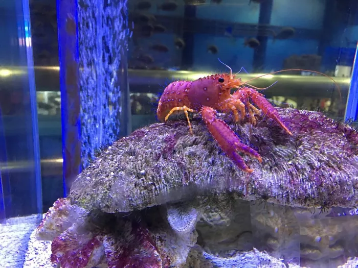 Океанариум «Beijing Aquarium»