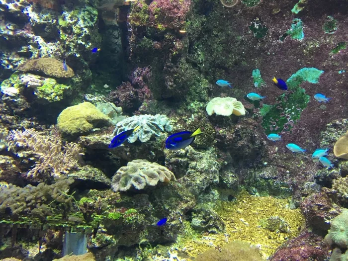 Океанариум «Beijing Aquarium»