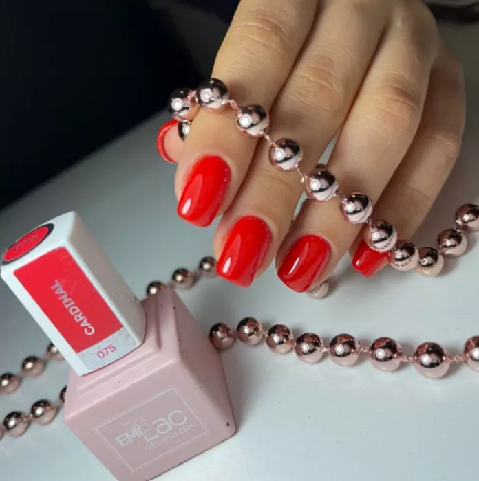 Салон красоты "Beauty studio Elena Khachatryan".