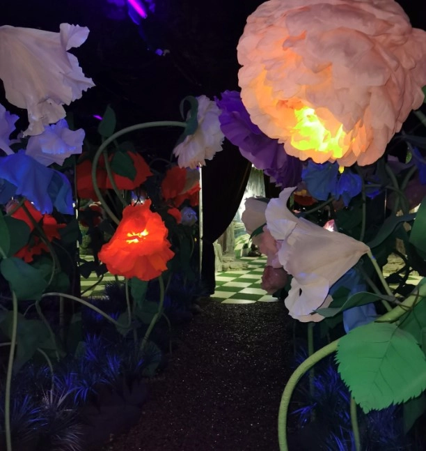 Интерактивный парк развлечений "Magic park"