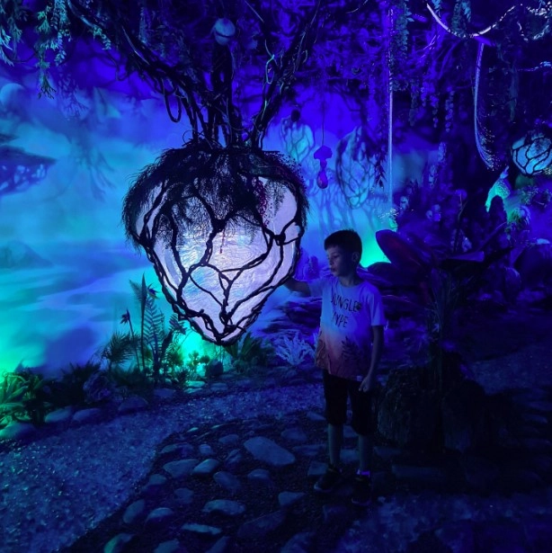 Интерактивный парк развлечений "Magic park"
