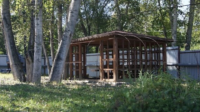 Таежная поляна