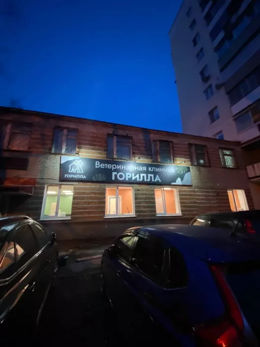 Ветеринарная клиника "Горилла"