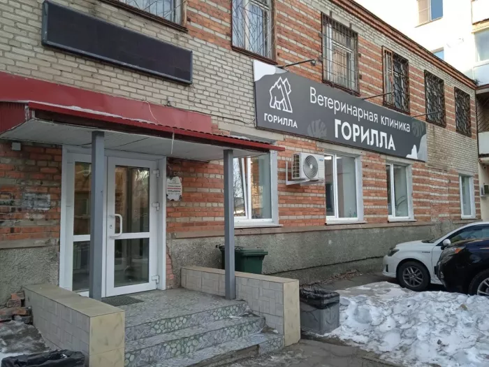 Ветеринарная клиника "Горилла"