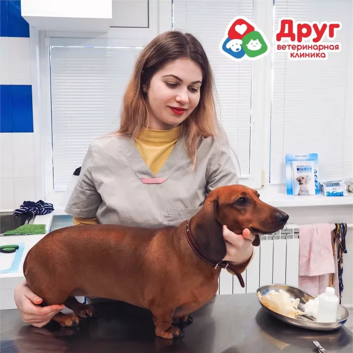 Ветеринарная клиника "Друг" на Борисенко