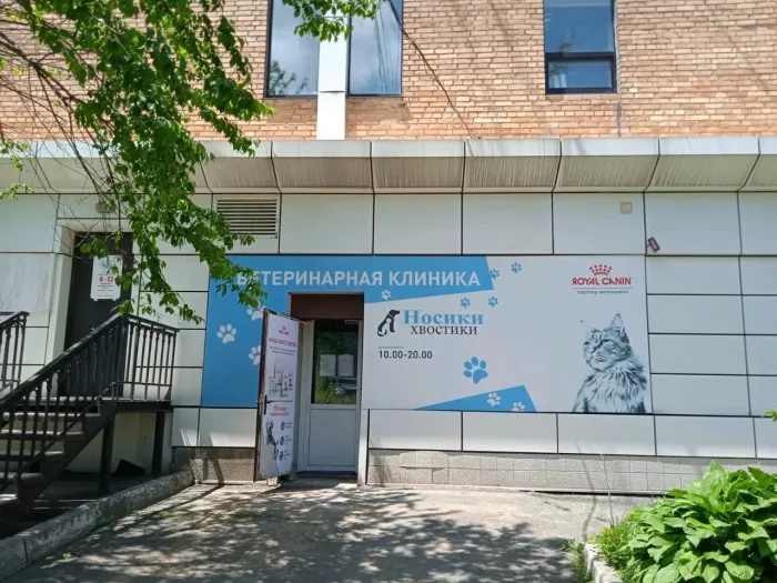  Ветеринарная клиника "Носики Хвостики"