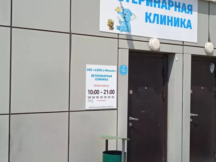 Ветеринарная клиника "Слон и Моська"