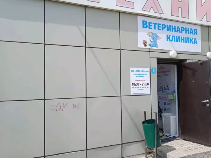 Ветеринарная клиника "Слон и Моська"