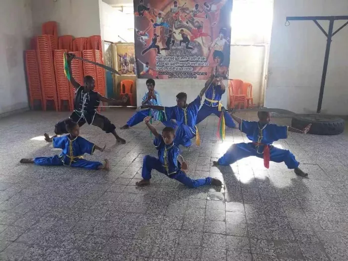 Школа боевых искусств «TianYi Kungfu Club»