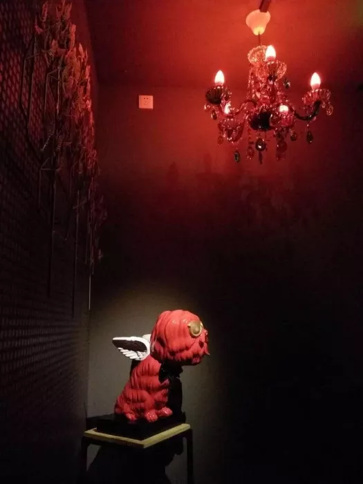 Бар «Red Dog»