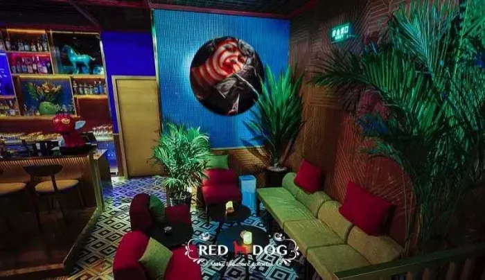 Бар «Red Dog»
