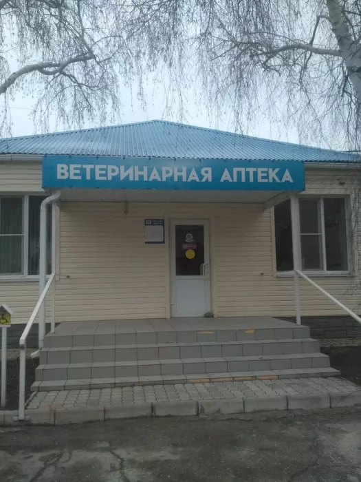 Ветеринарная клиника "Кот и пес"