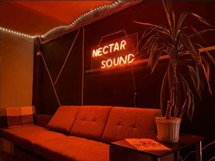 Студия звукозаписи "Nectar Sound"
