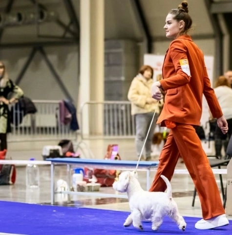 Груминг центр UrbanDog