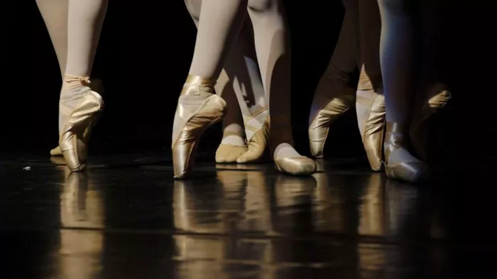 Русско-французская школа балета "Mon Ballet"