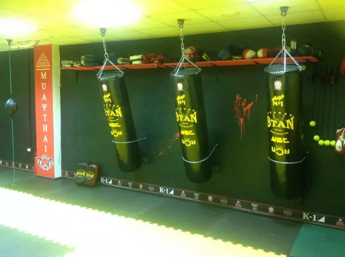 Профессиональная секция «Stan Gym»