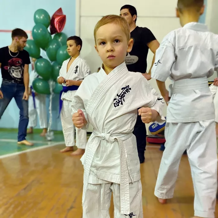 Спортивный клуб каратэ «Путь Чемпиона» на ул. Фурмановская