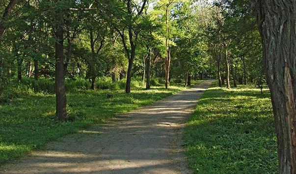 "Парк имени Корнея Чуковского"