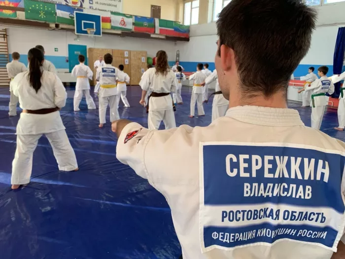 Ростовская Региональная Федерация Каратэ РРФСОО «ФКК Медведь», 1я Конная, спортклуб PowerPoint 