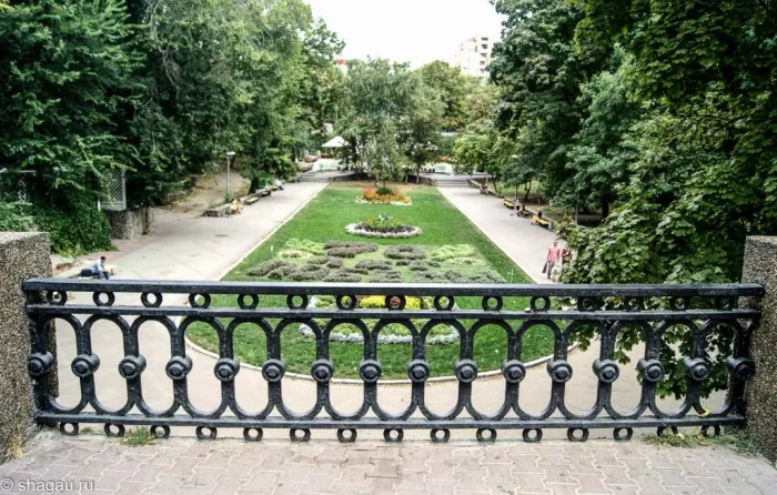 "Центральный парк им. М. Горького"