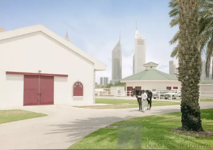 Больница "Dubai Equine Hospital"