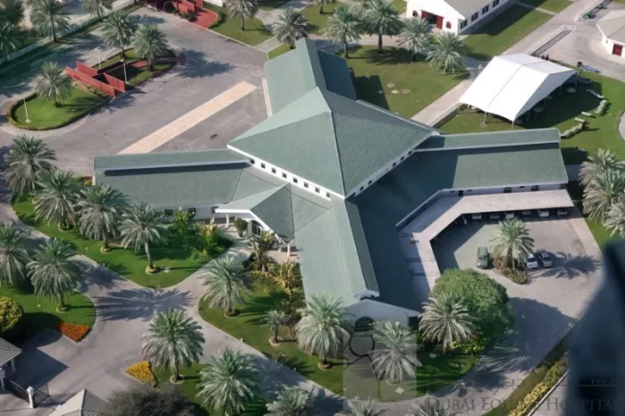 Больница "Dubai Equine Hospital"
