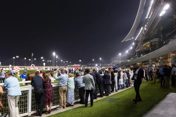  Скачки "Dubai racing club"