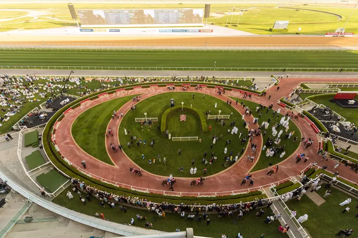  Скачки "Dubai racing club"