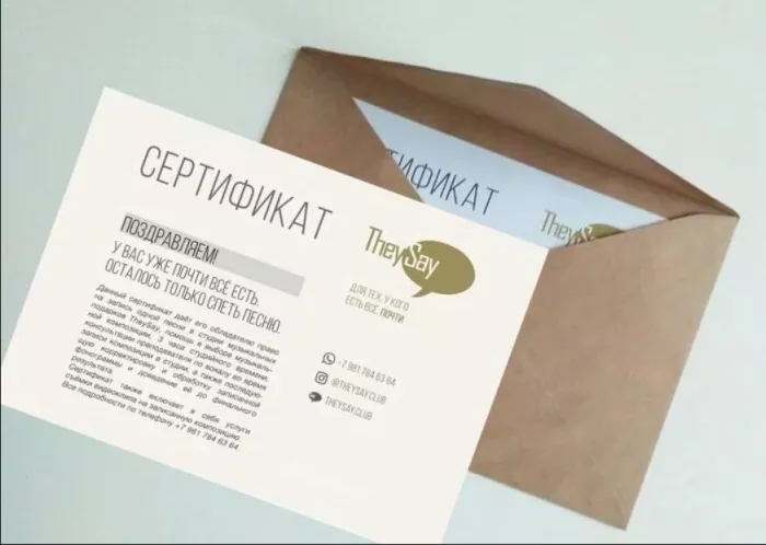 Студия звукозаписи "TheySay"