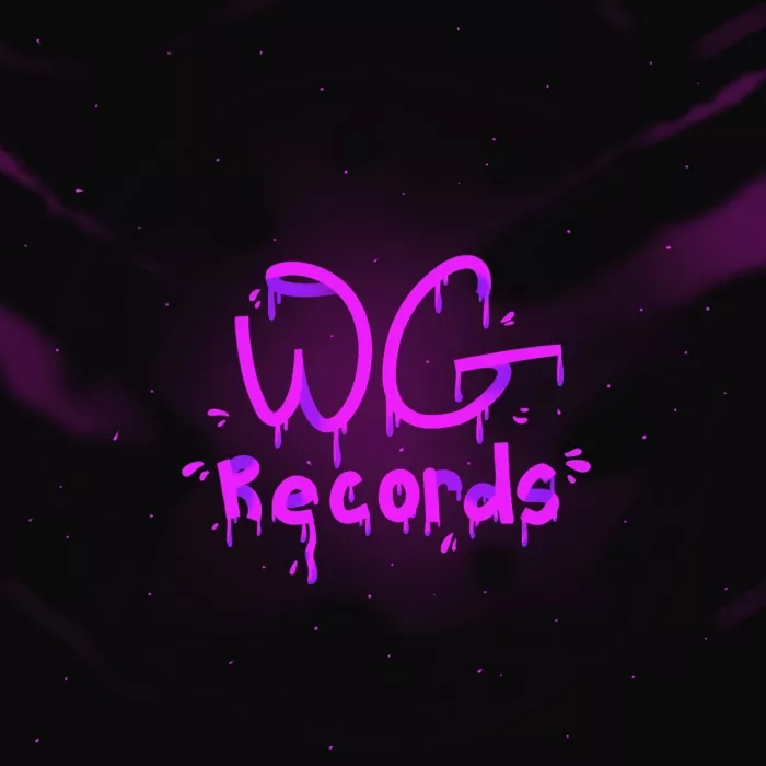 Студия звукозаписи "Wg Records".