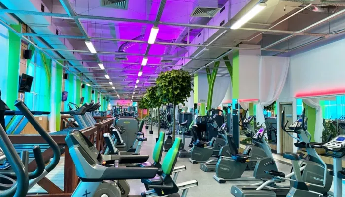 Тренажёрный зал "Wellness & Power".
