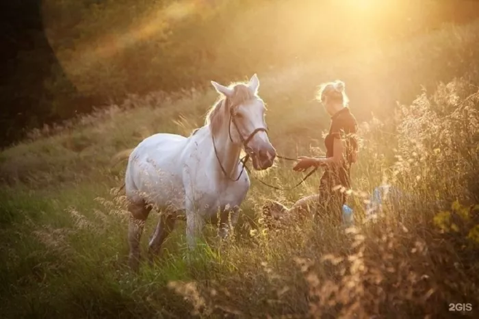 Конный клуб "Horse Travel"