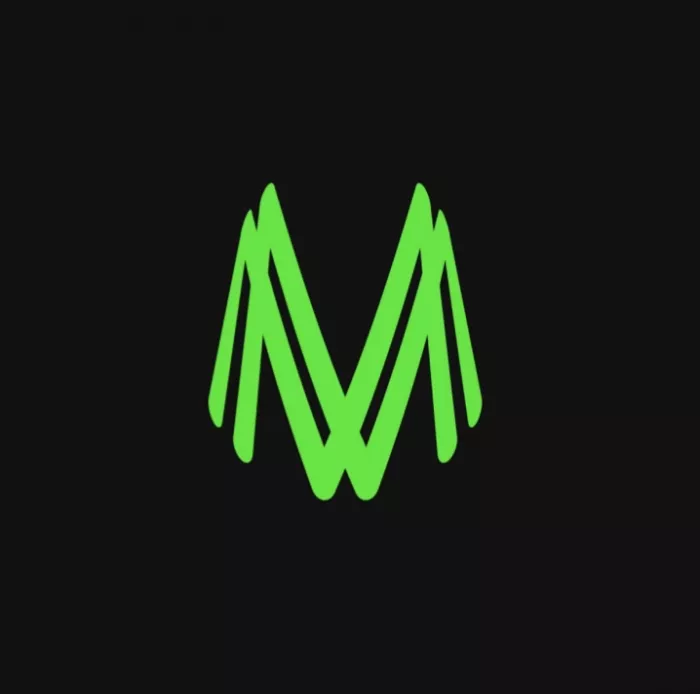 Студия звукозаписи "Milan Records".