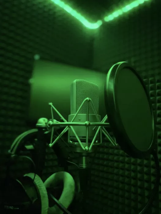 Студия звукозаписи "Milan Records".