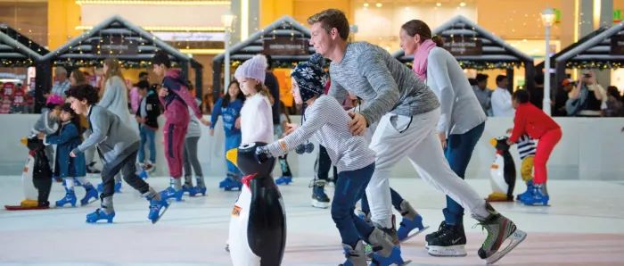 Каток "Dubai Ice Rink"