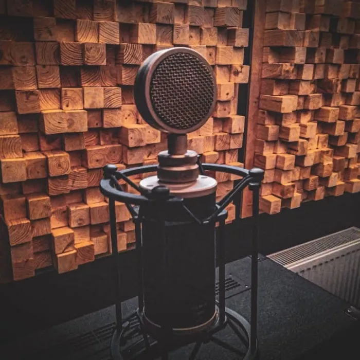 Студия звукозаписи "START REC"