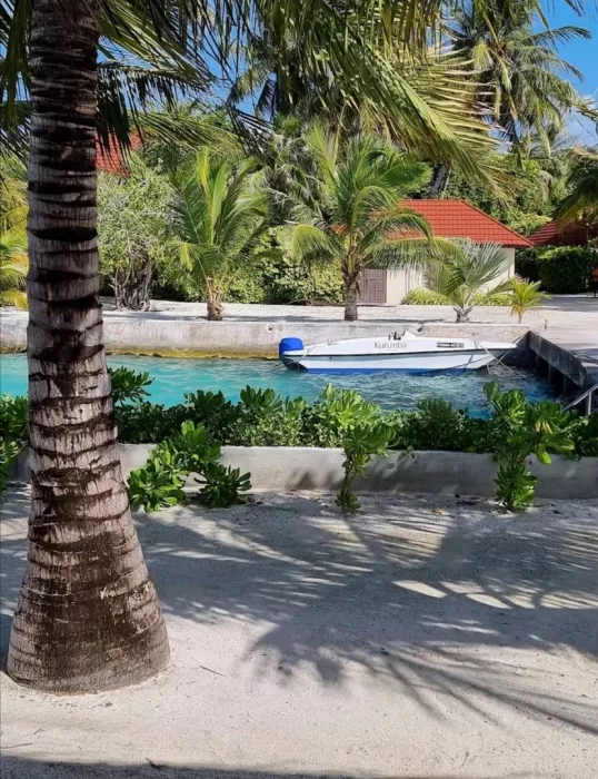 Дайвинг клуб "Euro-Divers Kurumba" (Diving club "Euro-Divers Kurumba")