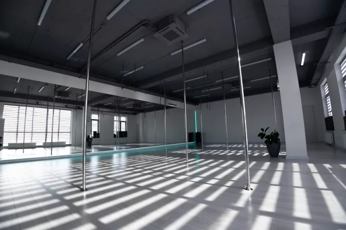 Танцевальная студия "Pole dance studio 2.8".