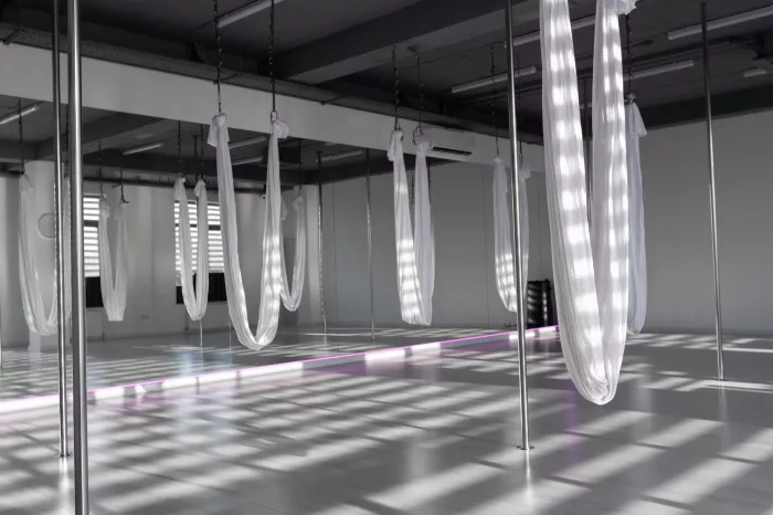 Танцевальная студия "Pole dance studio 2.8".