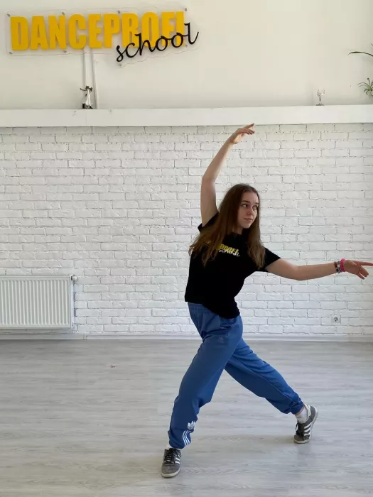 Танцевальная студия "Danceprofi".