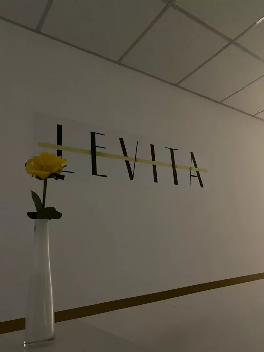 Студия балета и растяжки "LEVITA"