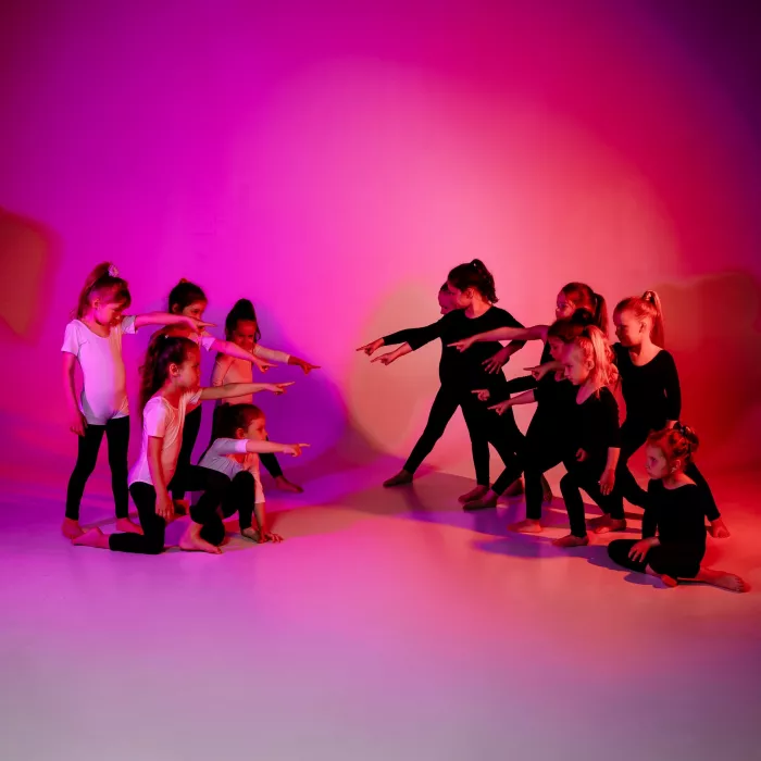Студия танца и фитнеса "Phenix Dance"
