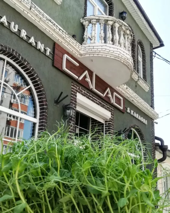 Бар "Calao"