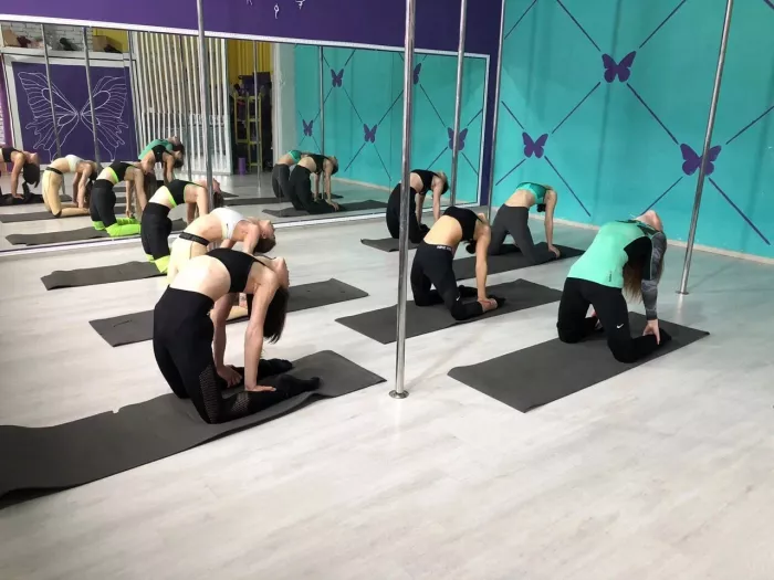 Школа танцев "Butterfly Pole Dance"