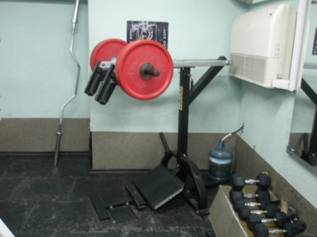 Спортивный клуб "Leon gym".