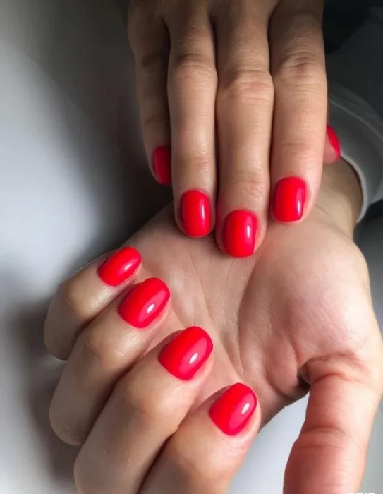 Ногтевая студия "Beauty zone 221".