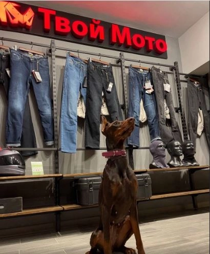 Мотосалон "Твой мото".