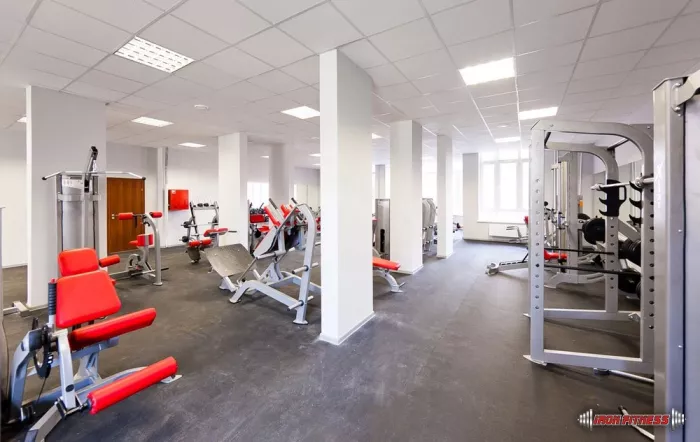 Фитнес клуб "Iron Fitness".